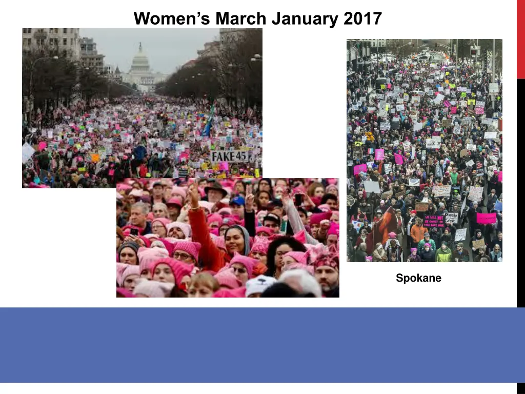 women s march january 2017