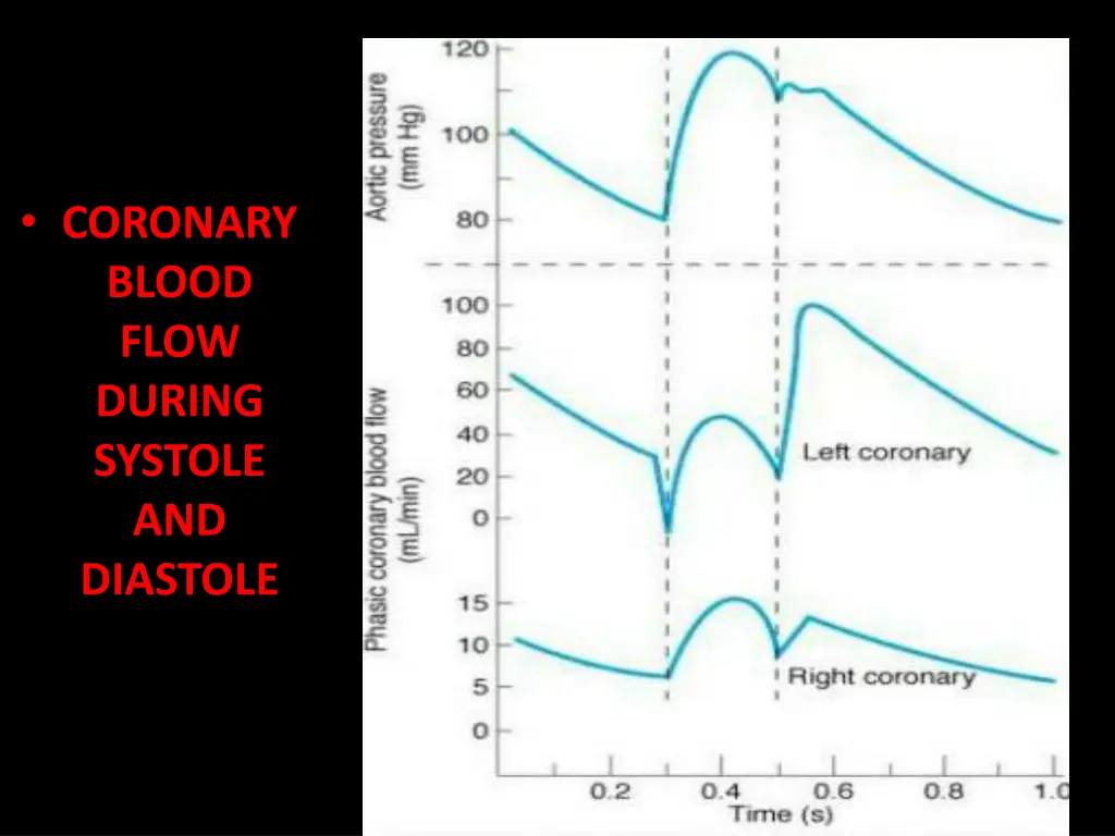 coronary blood flow during systole and diastole