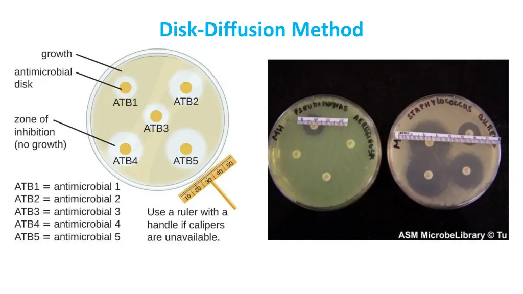 disk diffusion method 1