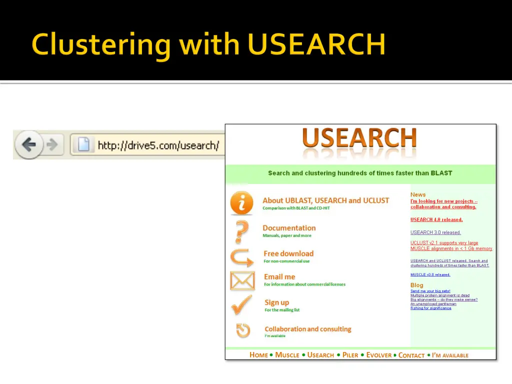 slide19