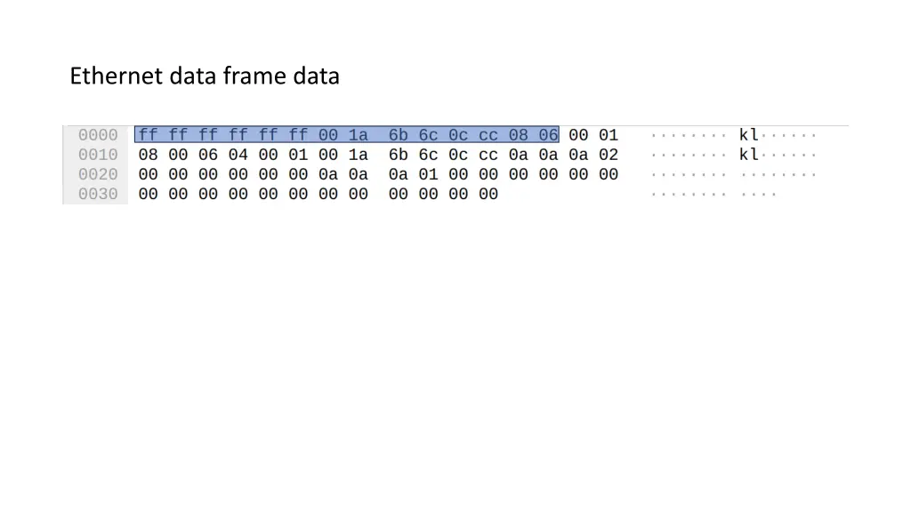 ethernet data frame data