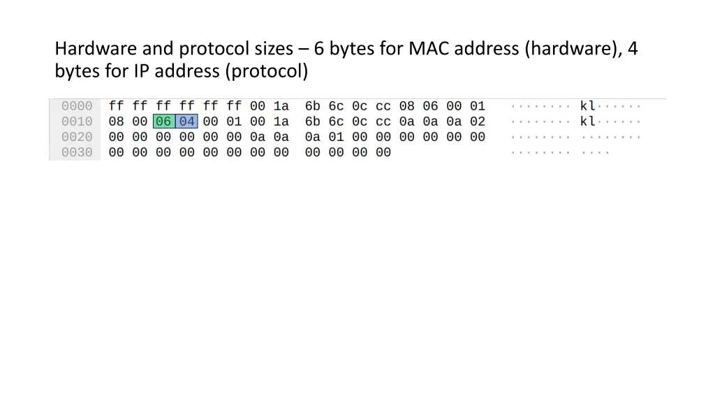 hardware and protocol sizes 6 bytes
