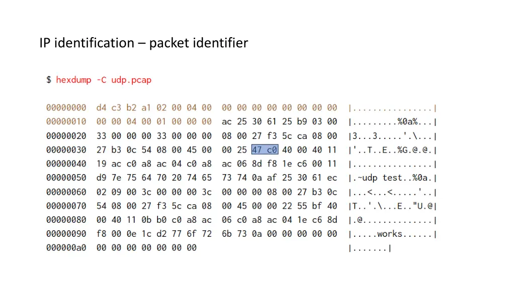 ip identification packet identifier