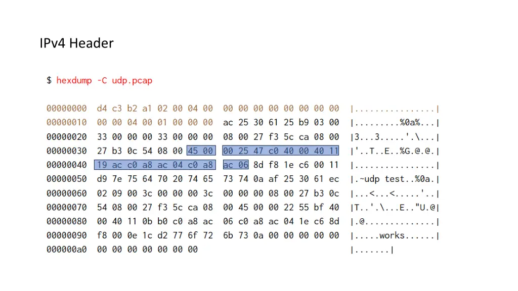 ipv4 header 1