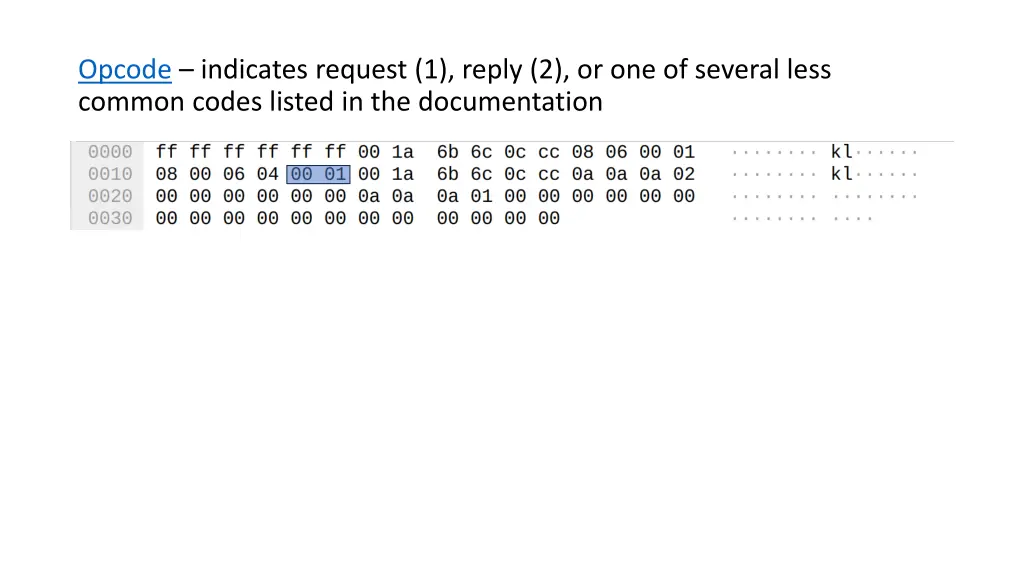 opcode indicates request 1 reply