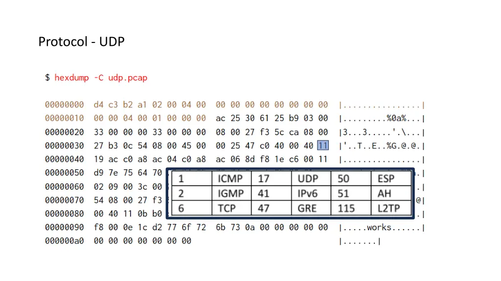 protocol udp