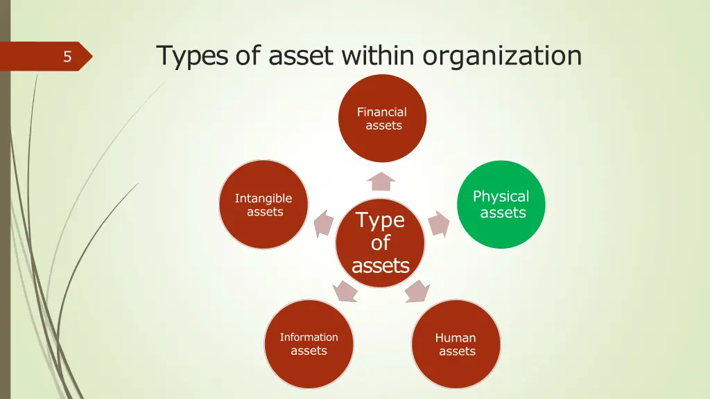 types of asset within organization