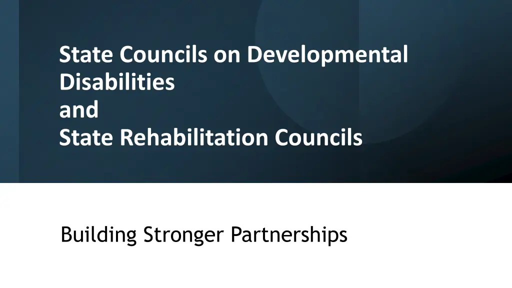 state councils on developmental disabilities