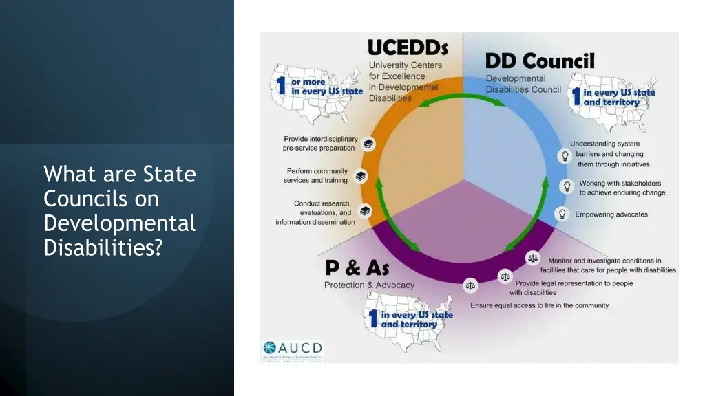 what are state councils on developmental