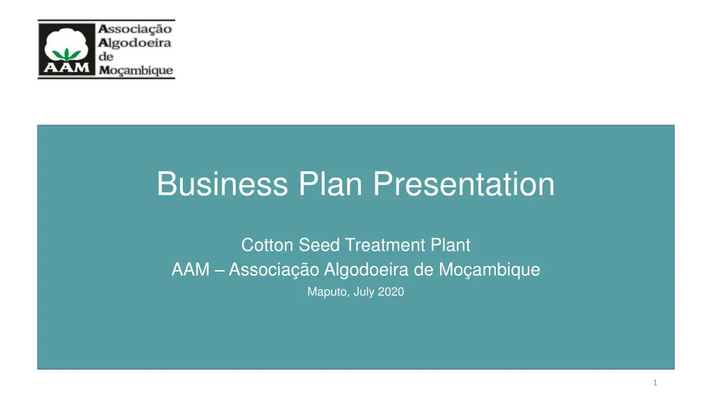 business plan presentation