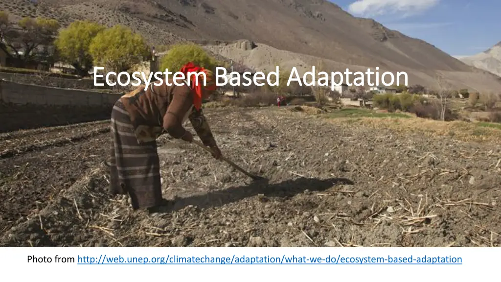 ecosystem based adaptation ecosystem based