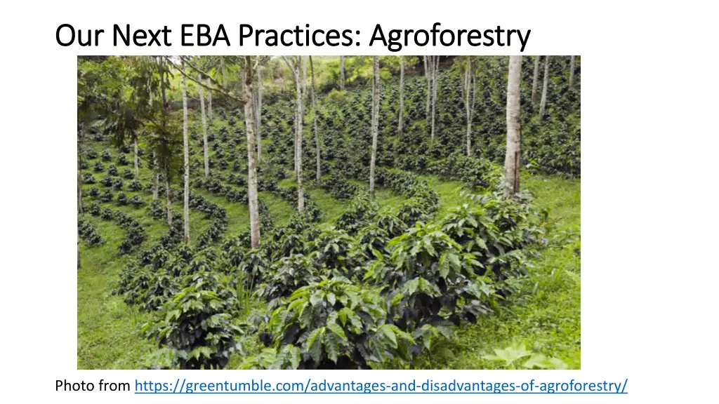our next eba practices agroforestry our next