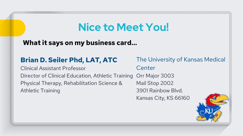 nice to meet you