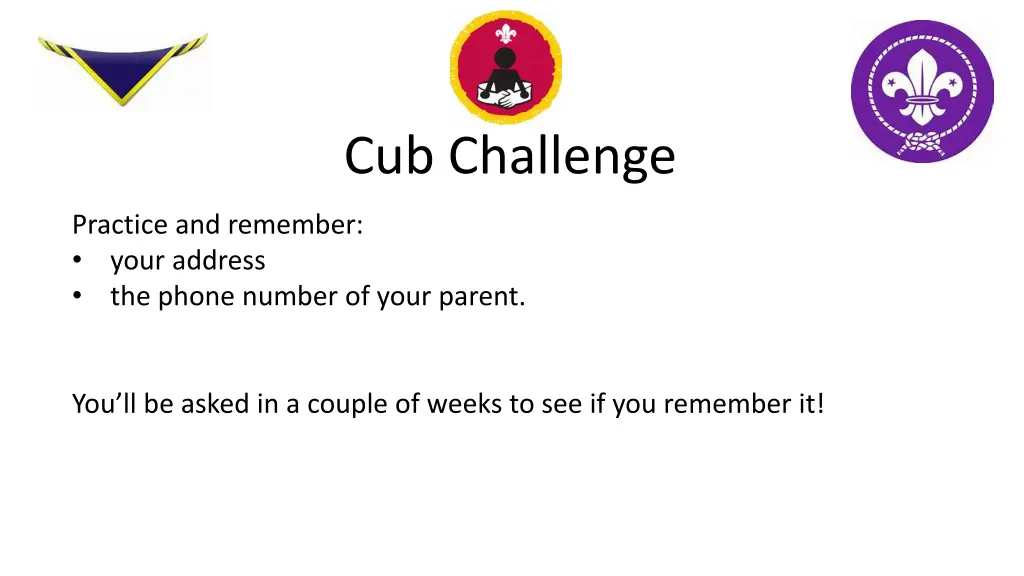 cub challenge 1