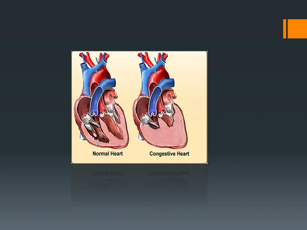 slide3