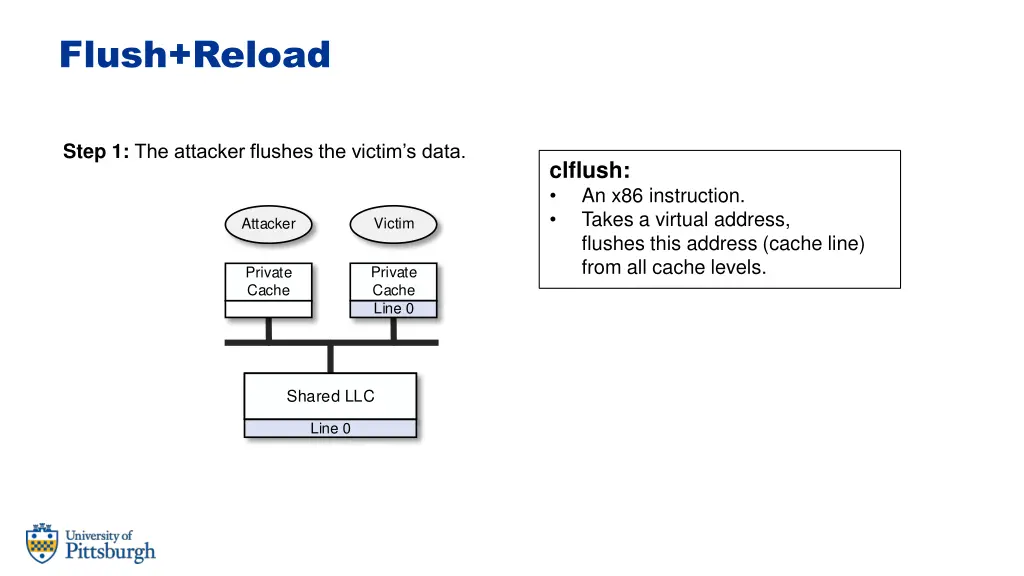 flush reload 1