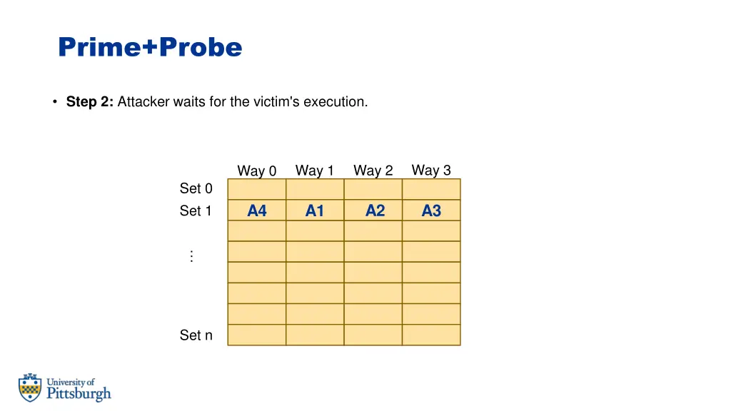 prime probe 5