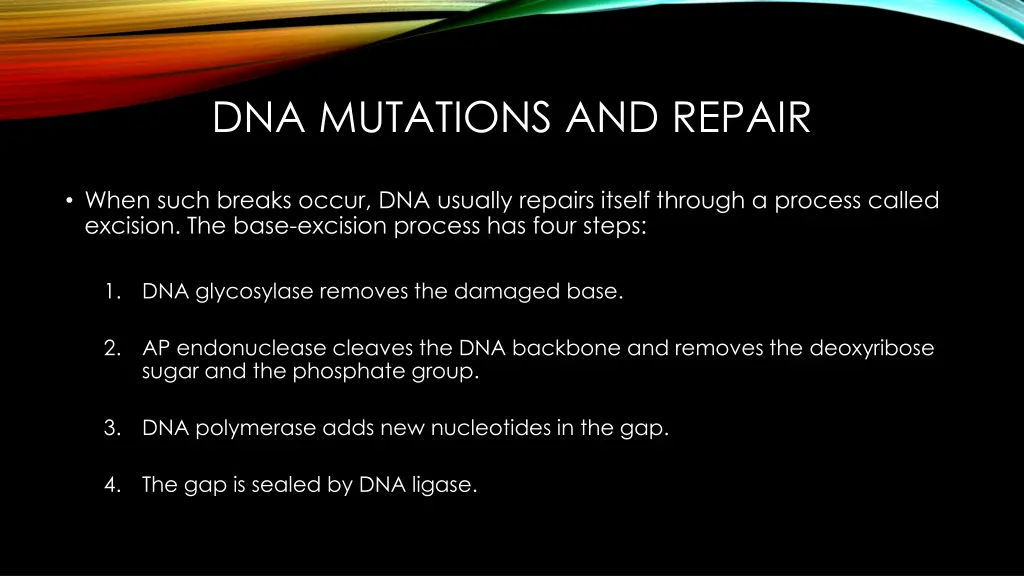 dna mutations and repair