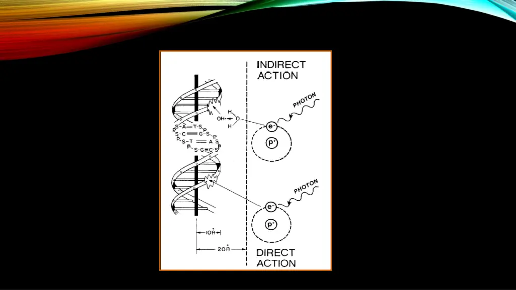 slide18