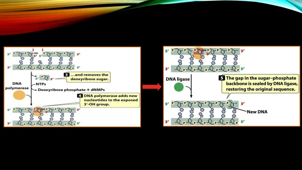 slide23