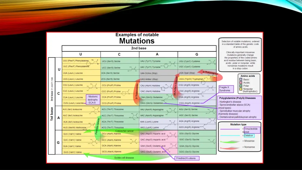 slide26