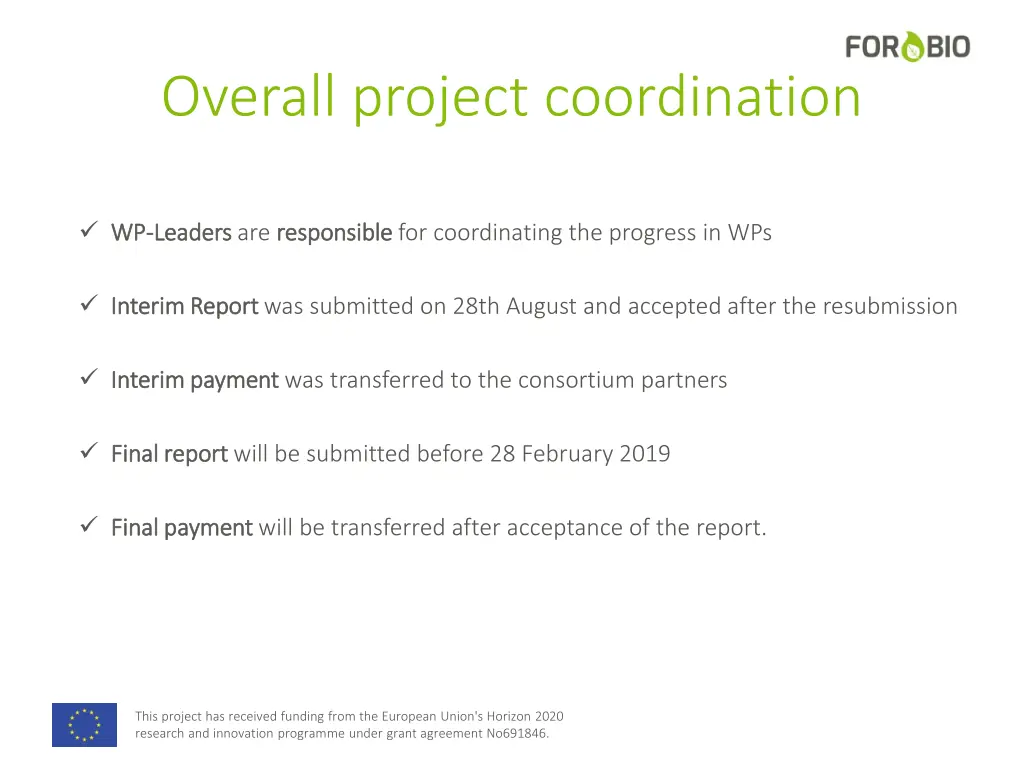 overall project coordination