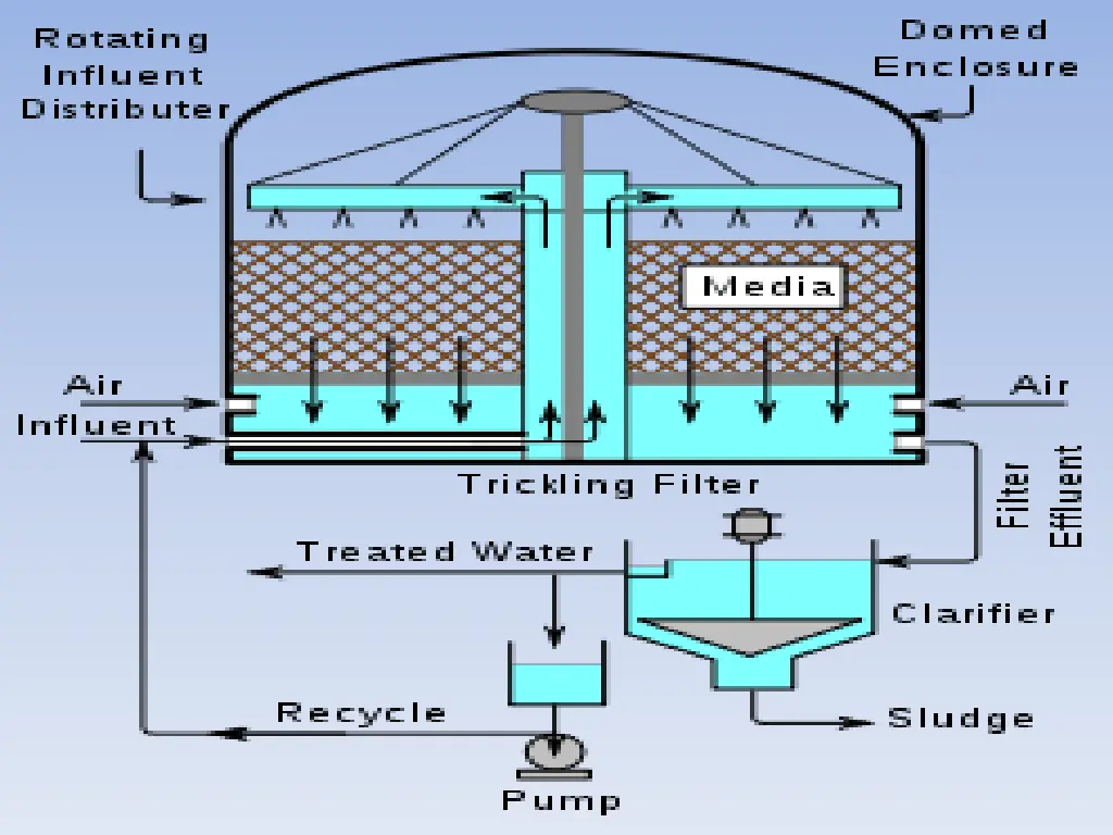 slide7