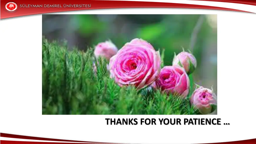 thanks for your patience