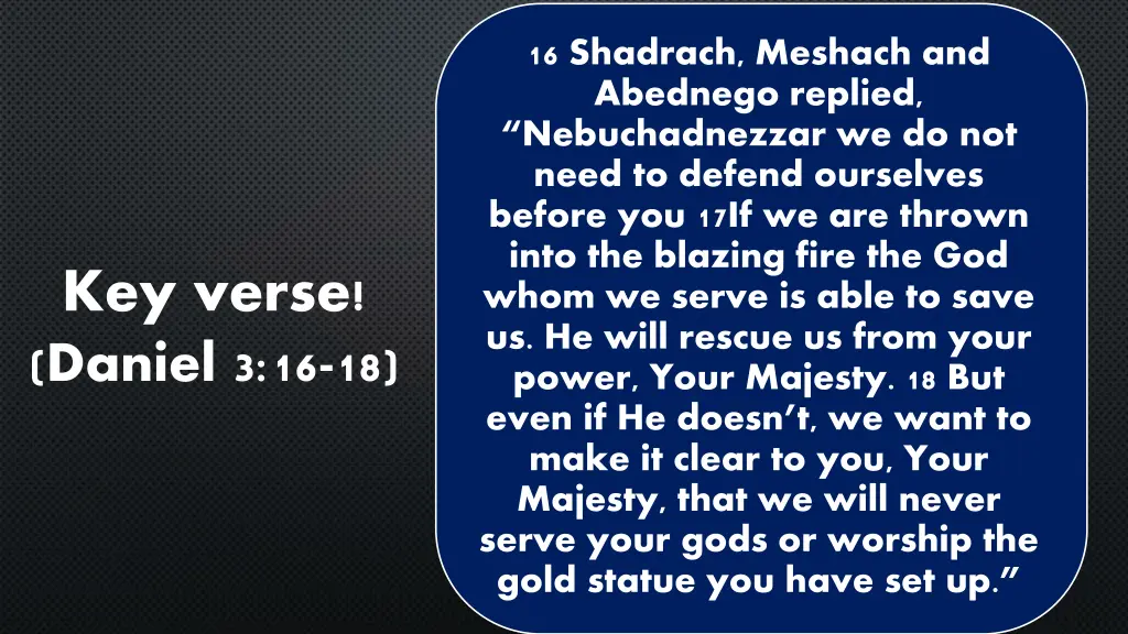 16 shadrach meshach and abednego replied