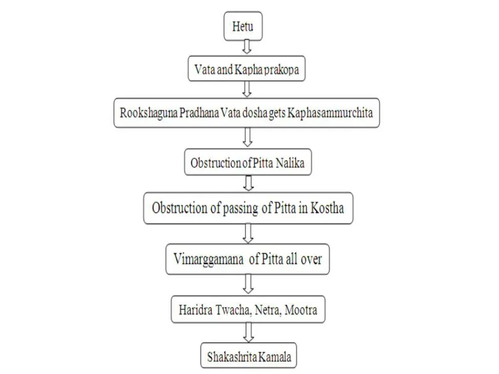 slide8