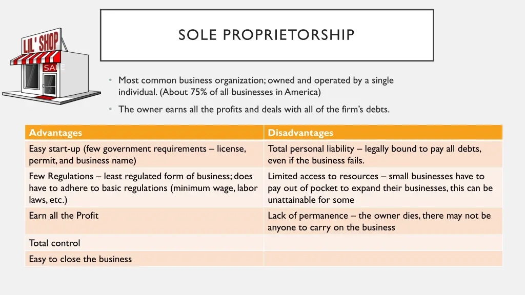 sole proprietorship