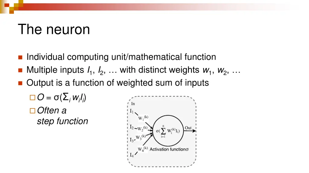 the neuron