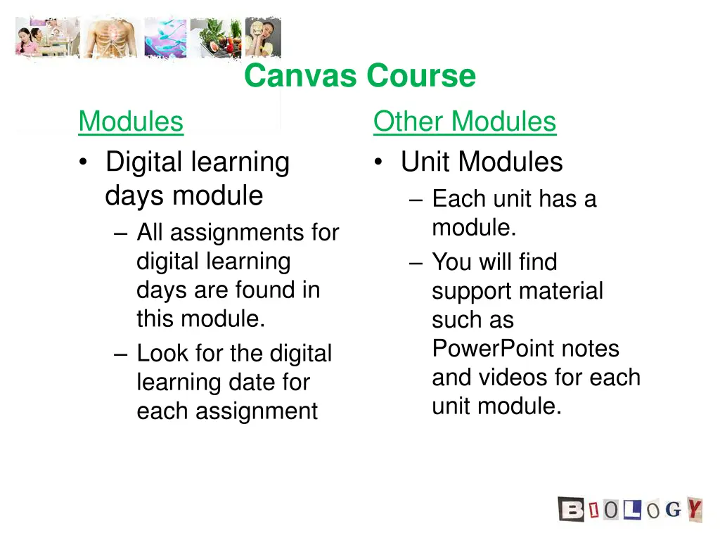 canvas course
