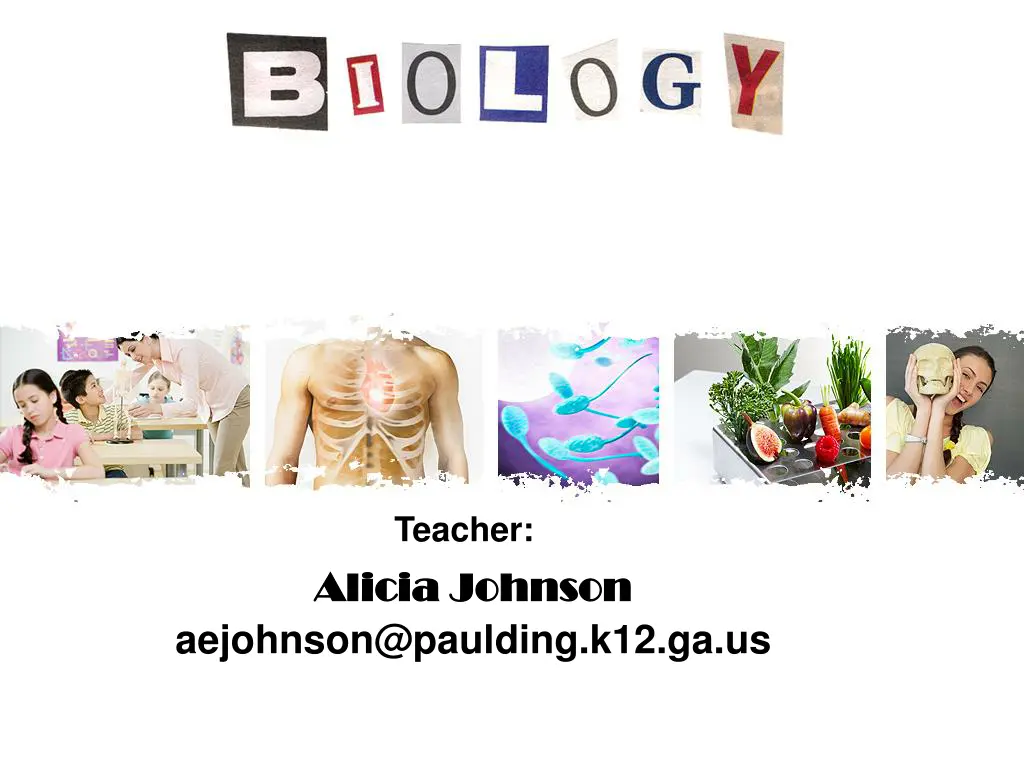 teacher