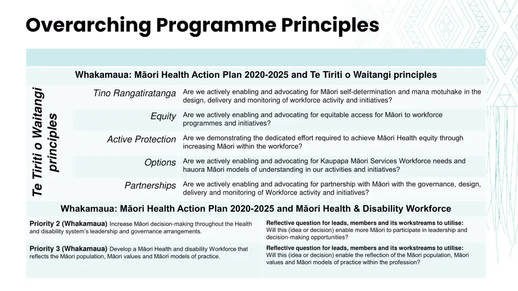 overarching programme principles