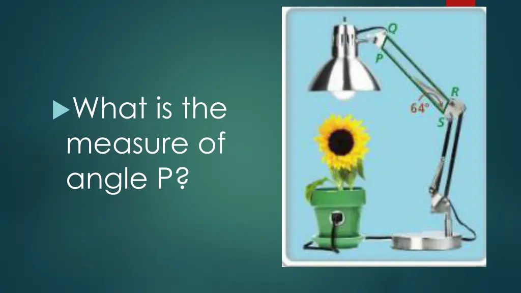what is the measure of angle p