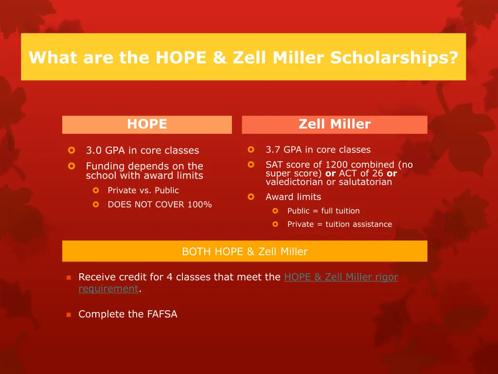 what are the hope zell miller scholarships