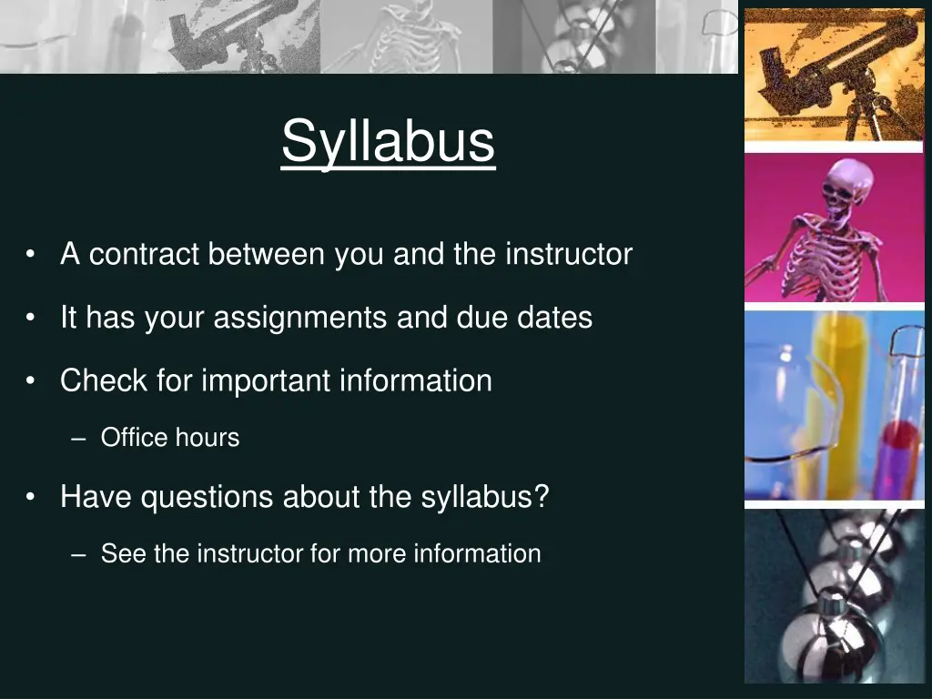 syllabus