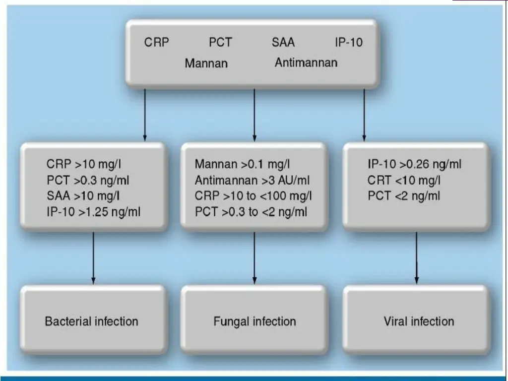 slide24