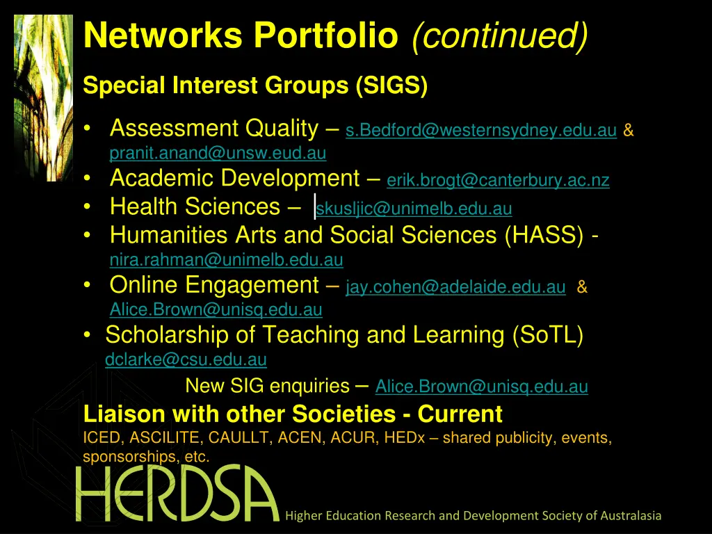 networks portfolio continued special interest
