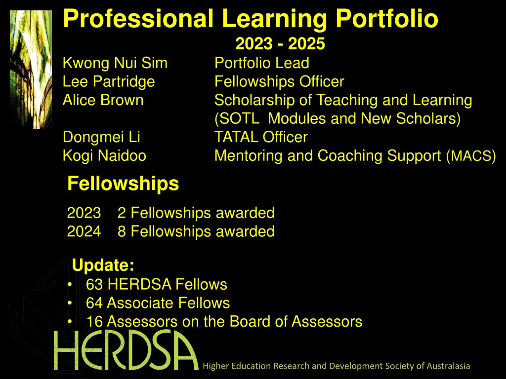 professional learning portfolio 2023 2025 kwong