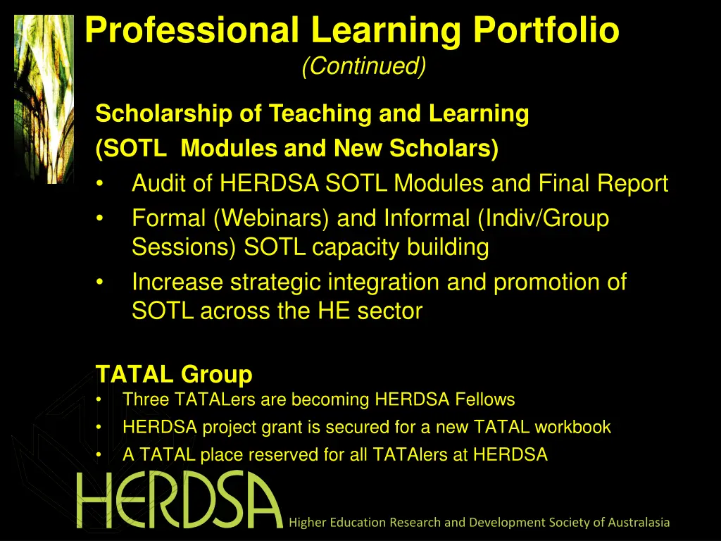 professional learning portfolio continued