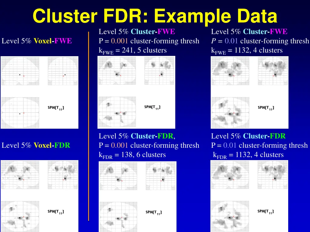 cluster fdr example data level 5 cluster