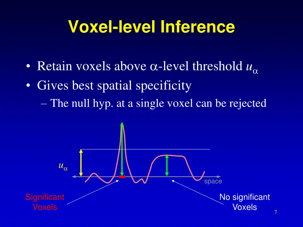 voxel level inference