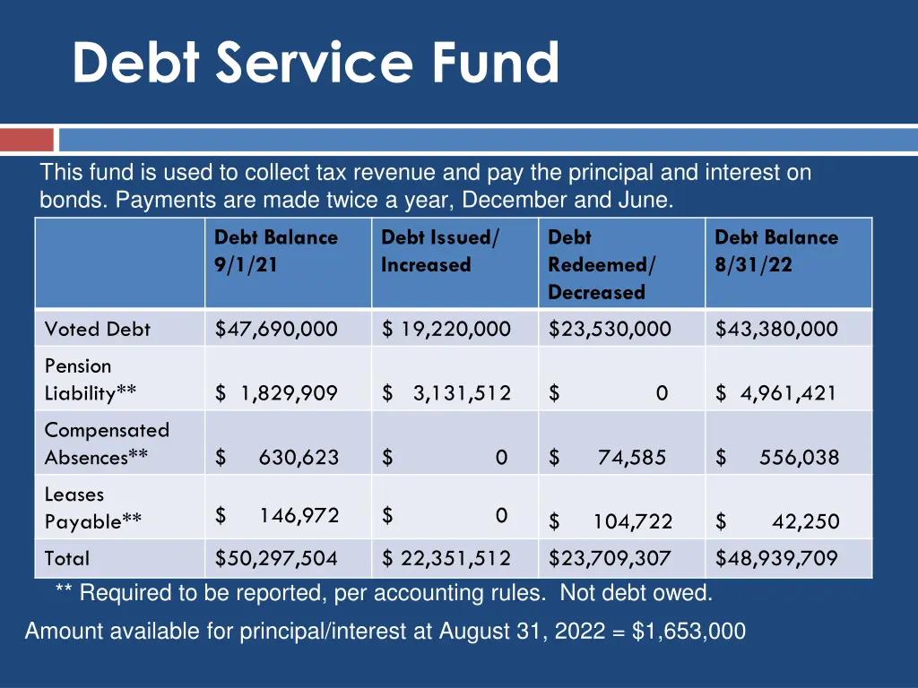 debt service fund