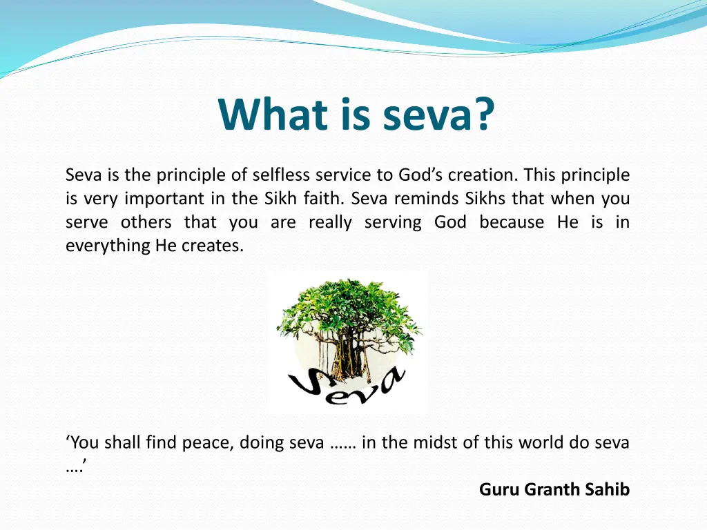 what is seva