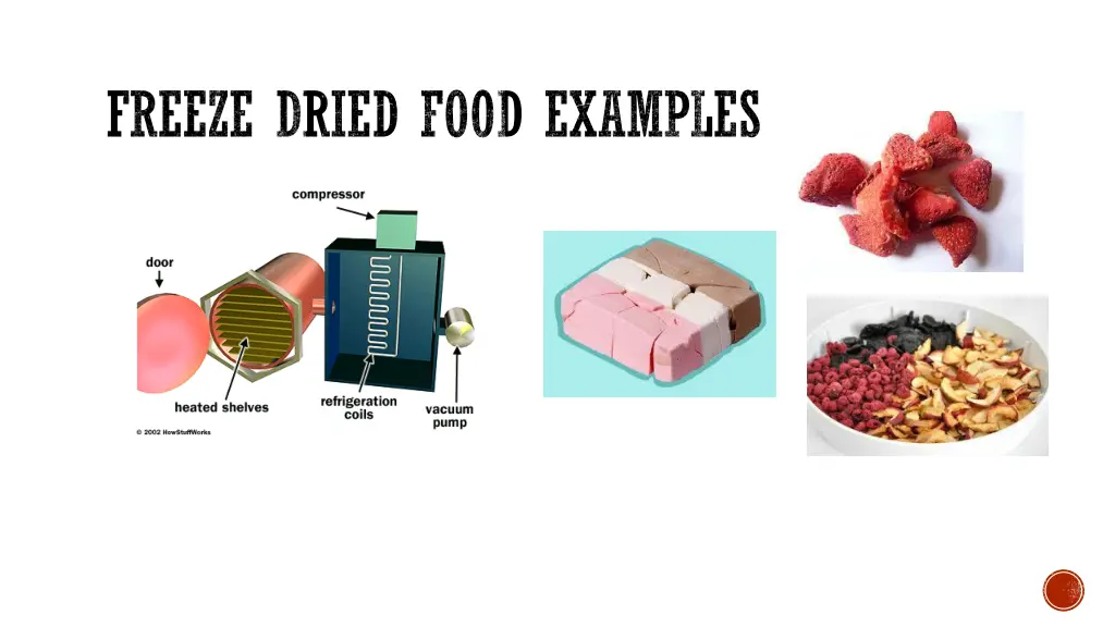 freeze dried food examples