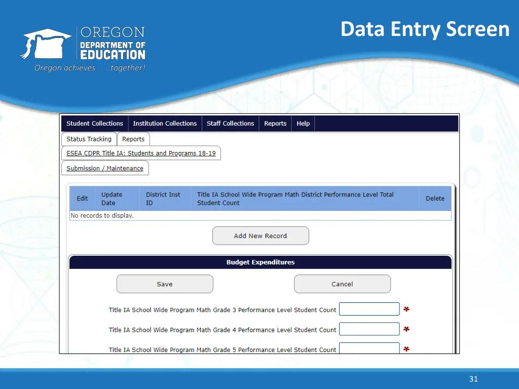 data entry screen