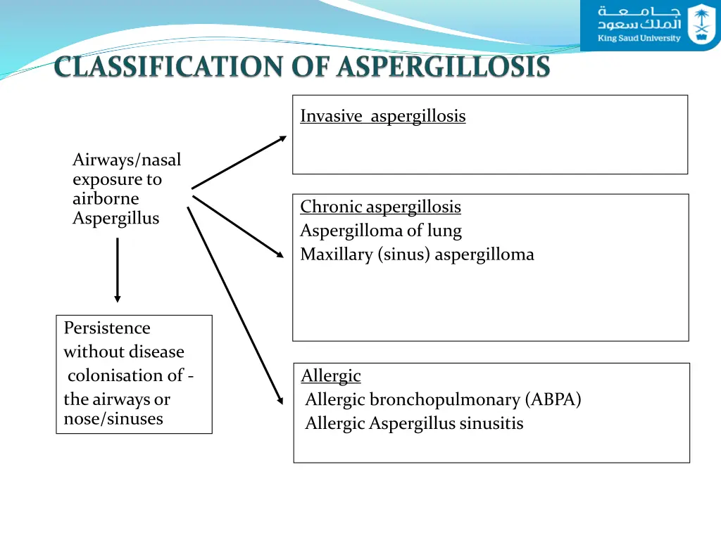 invasive aspergillosis