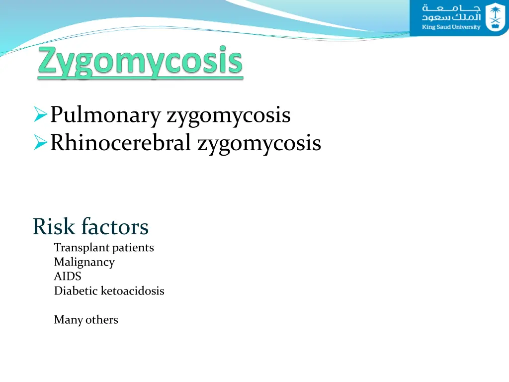 pulmonary zygomycosis rhinocerebral zygomycosis